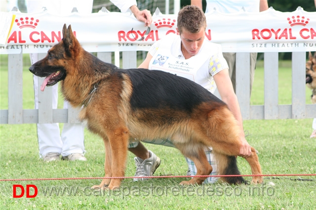 Hannibal Stieglerhof 1 Adulti m.jpg